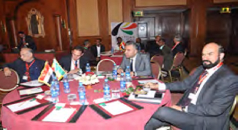 ECG in the Ethio-Egyptian Business Forum, Addis Ababa